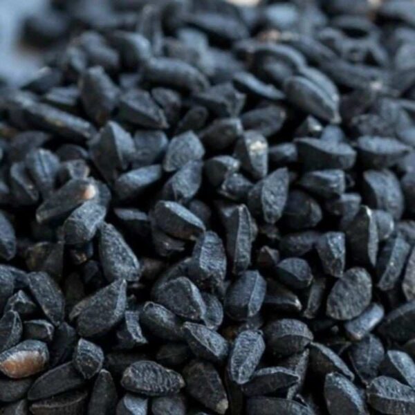 Buy black seed oil