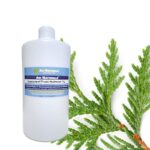 Cedarleaf thuja hydrosol