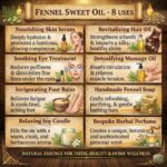 Commercial use fennel sweet oil