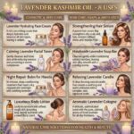 Commercial use lavender kashmir oil
