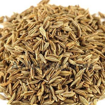 cumin seed oil Suppliers