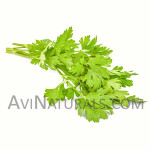 parsley hydrosol Suppliers