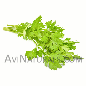 parsley hydrosol Suppliers