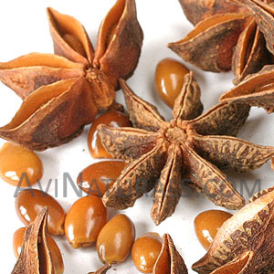 star aniseil oil Suppliers