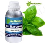 Sweet basil oil 500ml