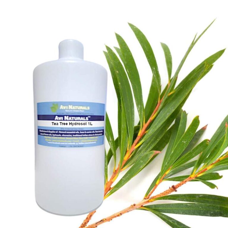 Tea Tree Hydrosol Wholesale Supplier and Manufacturer in India