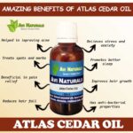 Uses and benefits of atlas cedar oil
