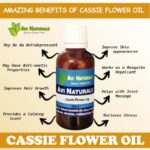 Uses and benefits of cassie flower oil