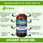 Uses and benefits of celery seed oil