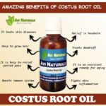 Uses and benefits of costus root oil