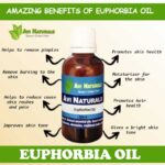 Uses and benefits of euphorbia oil