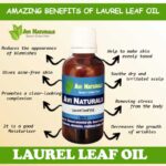 Uses and benefits of laurel leaf oil