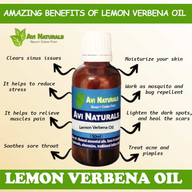 Lemon Verbena Benefits
