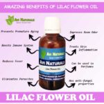 Uses and benefits of lilac flower oil