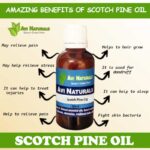 Uses and benefits of scotch pine oil