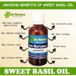 Uses and benefits of sweet basil oil