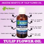 Uses and benefits of tulip flower oil