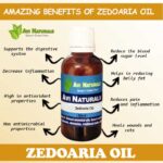 Uses and benefits of zedoaria oil