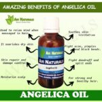 Uses and benfits of angelica oil