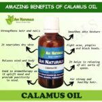 Uses and benfits of calamus oil