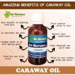 Uses and benfits of caraway oil