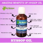 Uses and benfits of hyssop oil