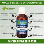 Uses and benfits of spikenard oil