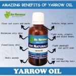 Uses and benfits of yarrow oil