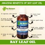 Uses benefits of bay leaf oil