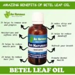 Uses benefits of betal leaf oil
