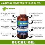 Uses benefits of buchu oil