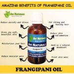 Uses benefits of frangipani oil