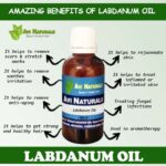 Uses benefits of labdanum oil