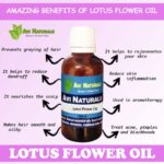 Uses benefits of lotus flower oil