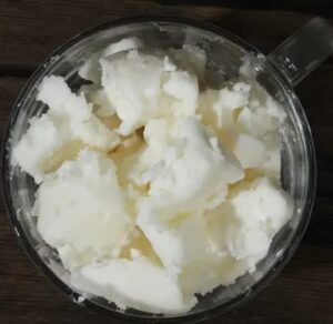 Whatsapp image 2025 11 08 at 9.35.49 am (1)