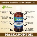 Malkangni Oil 50ml