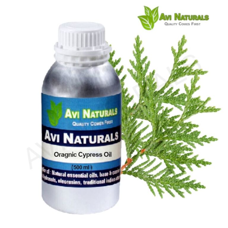 Organic Cypress Essential Oil Wholesale Supplier in India