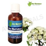 Organic Eucalyptus Oil 50ml