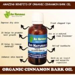 Uses and benefits of organic cinnamon bark oil