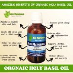 Uses benefits of organic holy basil oil