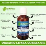 Uses benefits of organic litsea cubeba essential oil