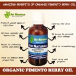 Uses benefits of organic pimento berry essential oil