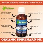 Uses benefits of organic spikenard oil