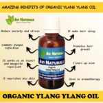 Uses benefits of organic ylang ylang essential oil
