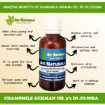Chamomile German Oil 3% in Jojoba
