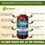 Clary Sage Oil 3% in Jojoba