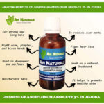 Jasmine Grandiflorum Absolute 3% in Jojoba