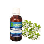 Jasmine Grandiflorum Absolute 3% in Jojoba 50ml