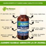 Jasmine Sambac Absolute 3% in Jojoba