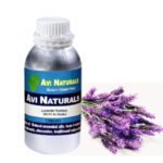 Lavender Kashmir Oil 3% in Jojoba 500ml
